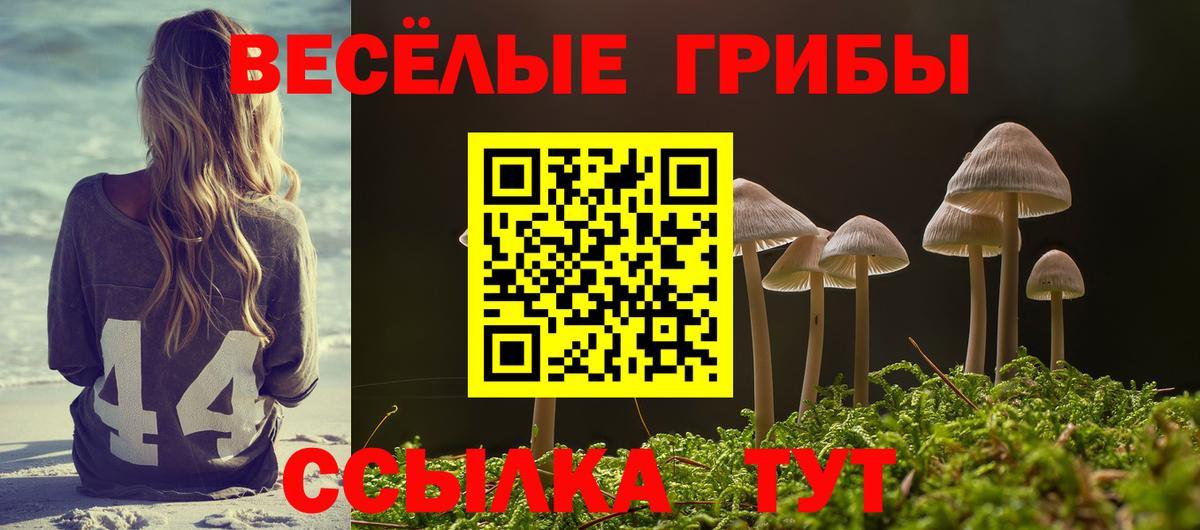 Галлюциногенные грибы мицелий  Вход с VPN  дарнет шоп  Еманжелинск 