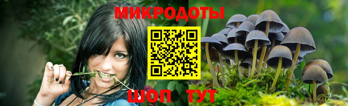 Псилоцибиновые грибы Cubensis Еманжелинск